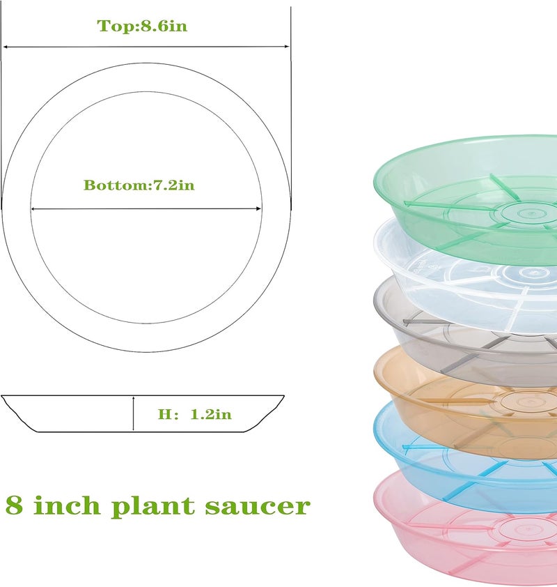 Afrine 6 Pack Plant Saucer Drip Tray 7 8 inch, Plant Drainage Trays, Heavy Sturdy Plastic Planter Flower Pot Saucers for Indoor Outdoor Garden, Plant Water Drip Trays for pots (8", Clear) - Image 2